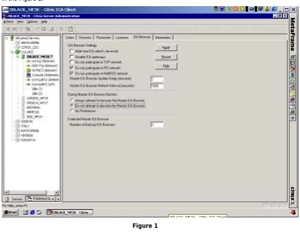 Figure 1 2.1 ICA Browser Settings 