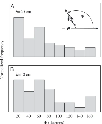Fig. 3. Archer ﬁsh respond over a large range of angles between theirinitial orientation and the take-off direction of the dislodged prey.Distribution of the absolute values of angles Φ (inset) between take-off direction of the prey and the initial orienta