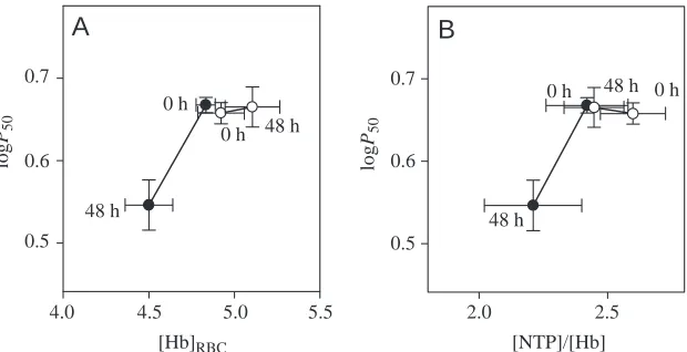 Fig. 1. The relationship between blood oxygenRBCratio) within the red blood cells. Open symbolsrepresent data from unfed control snakes measured at0h and 48h, while closed symbols represent dataobtained from snakes before (0h) and after (48h)feeding