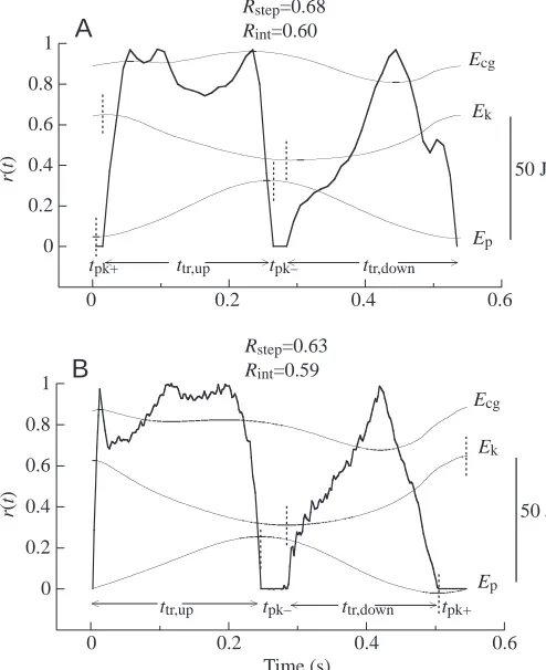 Fig. 3. Typical experimental recordings of unloaded walking. Thefraction of the mechanical energy recovered during unloaded walking
