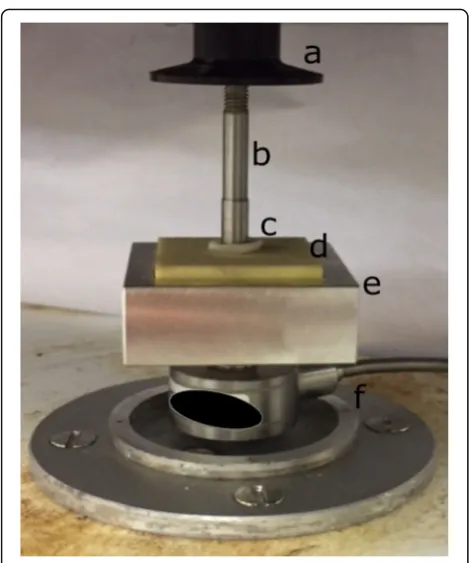 Fig. 5, respectively, at all four substrates investigated.