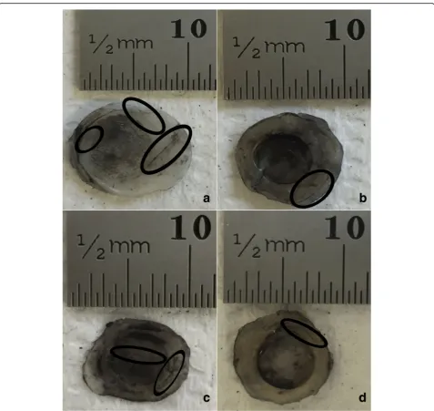 Fig. 3 Representative images of bovine articular cartilage-off-bone samples after testing, at 1 Hz frequency of loading