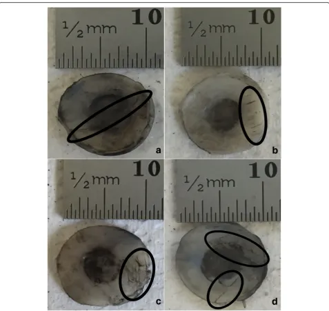 Fig. 4 Representative images of bovine articular cartilage-off-bone samples after testing, at 10 Hz frequency of loading