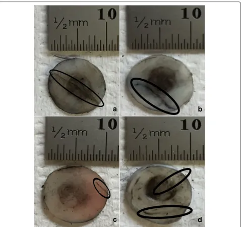 Fig. 5 Representative images of bovine articular cartilage-off-bone samples after testing, at 50 Hz frequency of loading