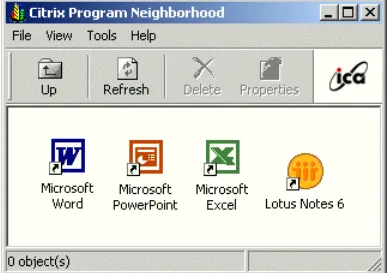 Figure 1-3   Citrix Program Neighborhood with some published applications