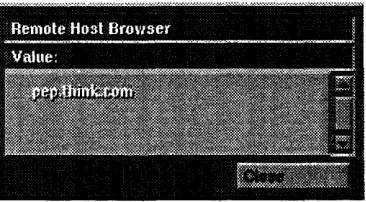 Figure 2. Remote Host Browser.