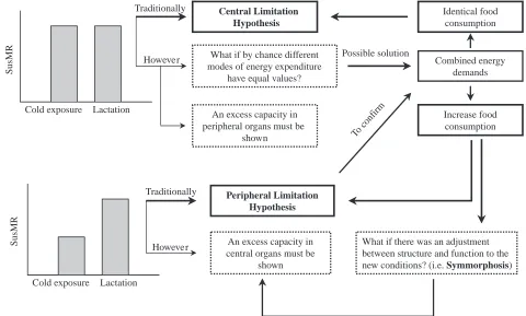 Fig. 1. Summary of the empirical procedure used to test for physiological limits on SusMR and some possible sources of error