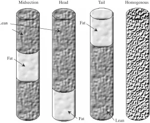 Fig. 1. Representation of ‘small mammal’ models, illustrating the lipid-locationvariation between head, tail, midsection or homogenous distribution in the 18% bodyfat lipid-location groups.