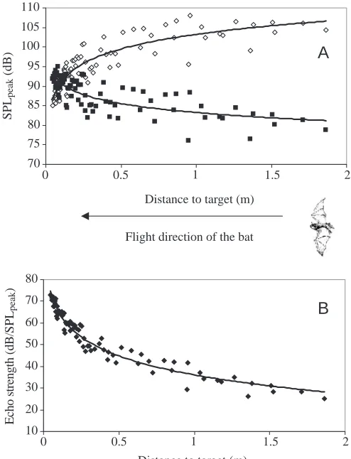 Table 3. The same function constants as in Table 2, but now representing rms and peak SPL received by the bat, corrected forgeometric spreading, atmospheric attenuation and target reﬂection characteristics