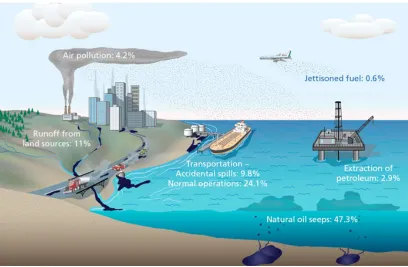 Figure 1: Global input of oil to the marine environment from different sources (Farrington & McDowell, 2004)