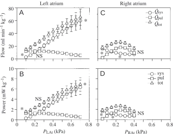 Fig. 1. Effects of increasing input pressure PLAt andPRAt (Frank–Starling effect) to the left atrium (LAt:A,B) or right atrium (RAt; C,D) on central ﬂow rates Q.(A,C) and power output (B,D) in Python molurus heart.In each of the two cases, input pressure t