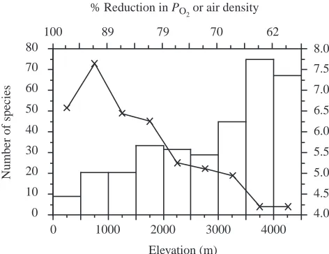 Fig. 2. Body mass (columns) and number of species (crosses) foraveraged minimum and maximum elevations among hummingbirdspecies