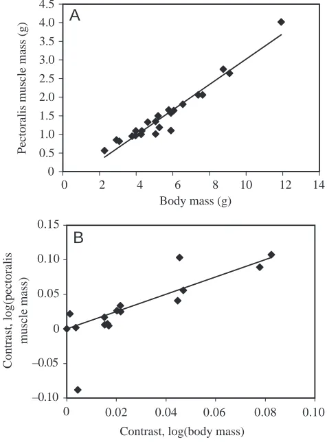Fig. 5. The relationship between wing loading (kgm–2contrasts in forced through the origin (Garland et al., 1992)