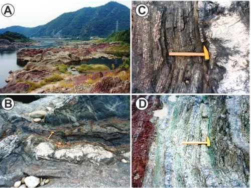 Fig. 3. (A) Katsuyama section on the Kiso River, Inuyama, Japan.matter-rich cherts beneath the continuous white bedded-chert horizon