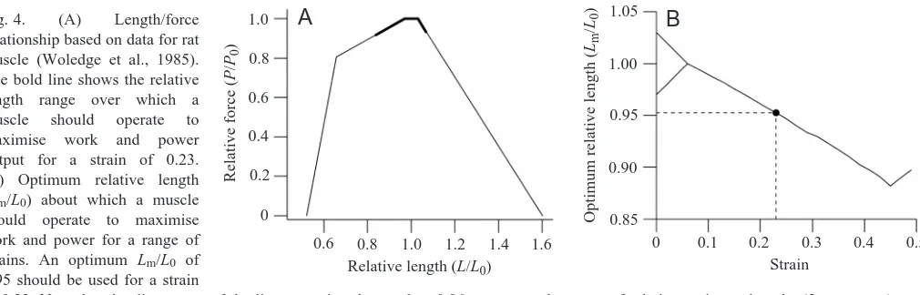 Fig. 4. relationship based on data for rat