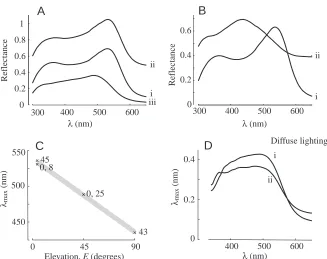 Fig. 7. Reﬂectance spectra of the kingﬁsher crown. Data are for a vertically alignedfeather, but the horizontal alignment spectra are the same