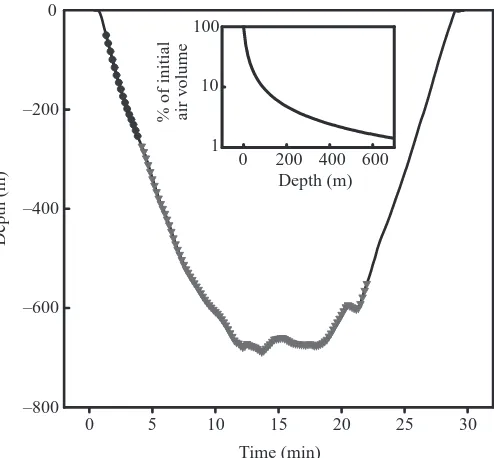 Fig. 3. Dive proﬁle of a tagged sperm whale. Circles indicates theproduction of coda clicks and triangles the production of usualclicks