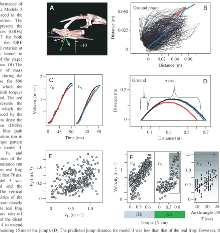Fig. 9. Jumping performance ofmodels 3 and 4. (A) Models 3