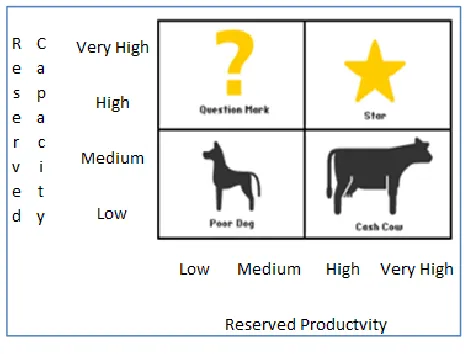 Figure 5 BCG Matrix Model 