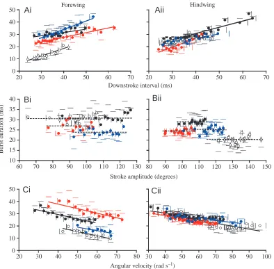 Fig. 5. Relationships between tegula burst duration and wing stroke parameters (see Fig