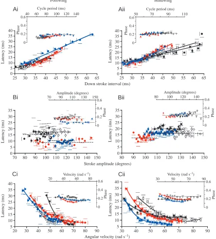 Fig. 6. Latency (main panels A–C) and phase (insets in A–C) of the onset of tegula activity in the wingbeat cycle and their relationship to wingstroke parameters (see Fig