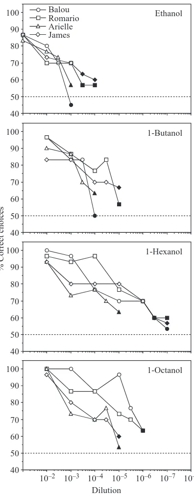 Fig. 4. Performance of four pigtail macaques indiscriminating between various dilutions of a given1-alcohol and the odourless solvent
