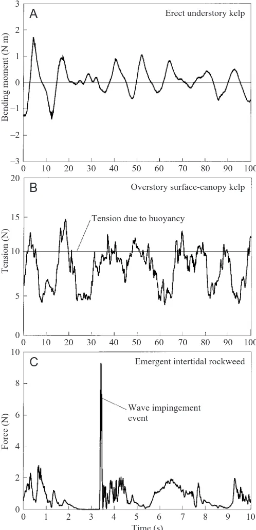 Fig. 2. Example time series of forces applied to seaweeds in the ﬁeld.(A) Bending moments (i.e