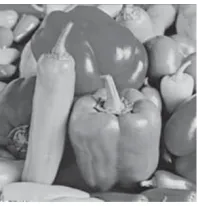 Figure 7: The recovered plain image Peppers by the second known-plaintext attack.