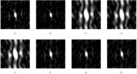 Figure 3: Two-dimensional grey-scale representation of 64(b) the test image corrupted by Gaussian multiplicative noise (median, (e) 7 × 64 ACFs for the left-bottom texture fragment of (a) the noise-free test image,σ2µ = 0.005), and the same image processed
