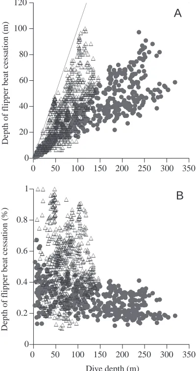 Fig. 3. Relationships between dive depth and depth of ﬂipper beatcessation in two king penguins (ﬁlled circles) and ten Adéliepenguins (open triangles)