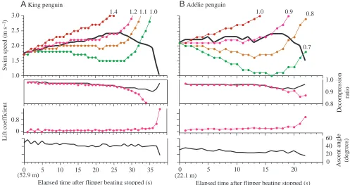 Fig. 5. Relationship between dive depth and estimated air volume of two king penguins(A) and two Adélie penguins (B)