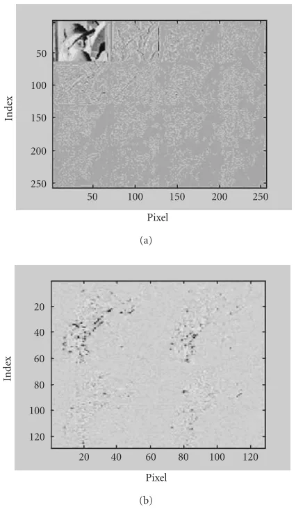 Figure 4: The single-level multiwavelet decomposition of the Lenaimage: (a) the whole image; (b) the HH subband of the image.