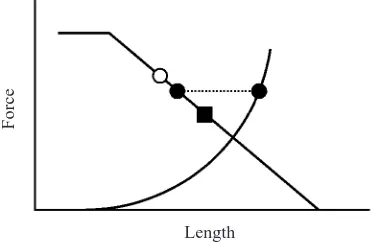 Fig. 1. Schematic illustration of force enhancement following stretchaccording to the sarcomere-length non-uniformity theory