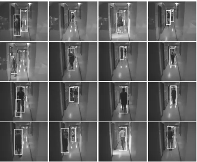 Figure 18: Examples of frames scanned with the (1/4)-resolution detector.
