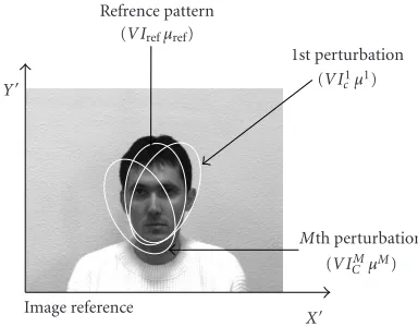 Figure 20: Tracking principle: tracking a 2D reference pattern.