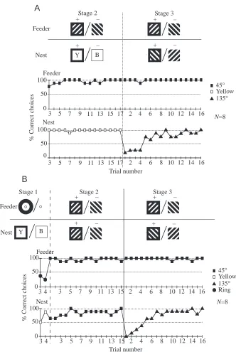 Fig. 2. Performance of bees with 15 or 17 trials of training in stage 2. Top: training patternsin stages 1–3