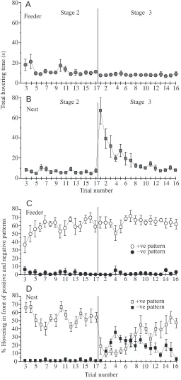 Fig. 3. Hovering times of bees in the experiment illustrated inFig. 2A. (A,B) Total hovering time at the feeder and nest ends