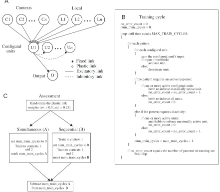 Fig. 6. Hebbian learning network. (A) Architecture of network. Each conﬁgural unit receives weighted input from all contextual (C1, C2…Cn)and local (L1, L2…Ln) units through plastic links that are subject to Hebbian and anti-Hebbian reinforcement during tr