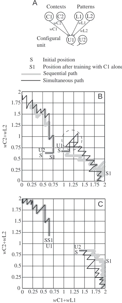 Fig. 8. Trajectories of weight changes during sequential andsimultaneous training. (A) The network of two conﬁgural units (U1and U2) and the inputs to them (L1, C1) (L2, C2)