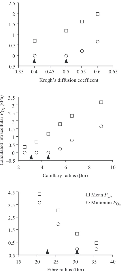 Fig. 5. (A) The relationship between calculated mean ﬁbre Pvolume density, for notothenioids living at 0–20°C; the overallregression (not plotted) is O∑ andﬁbre cross-sectional area (µm2) for notothenioids living at 0–20°C;the overall regression (not plott
