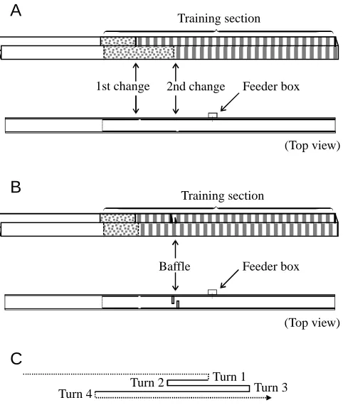 Fig. 1. Methodology. (A) Channel for boundary landmark training(BLT) viewed obliquely and from above showing texture changes onthe wall and the position of the feeder box