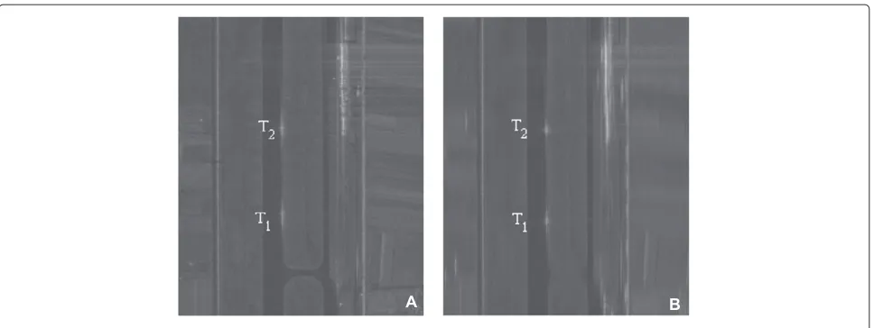 Figure 8 A ﬁeld SAR image containing two moving vehicles (A) and its refocused image (B).