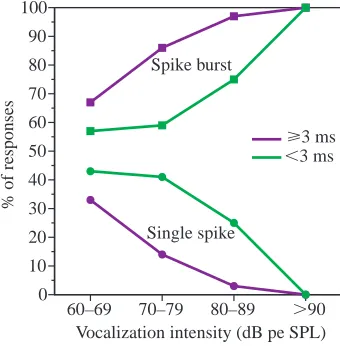 Fig. 14. Diagram showing whether a response of 501-T3 to a batvocalization was a multi-spike burst (squares) or a single spike(circles) for pulse durations of 3ms or longer (purple lines) and pulsedurations of less than 3ms (green lines).