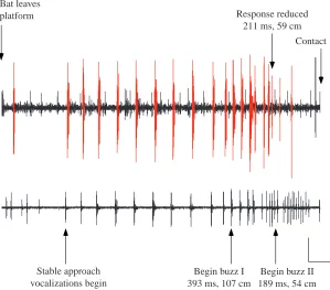 Table 2. Statistical test results comparing bat vocalizationparameters in B1 and B2 trials for the three different stagesof a bat attack sequence