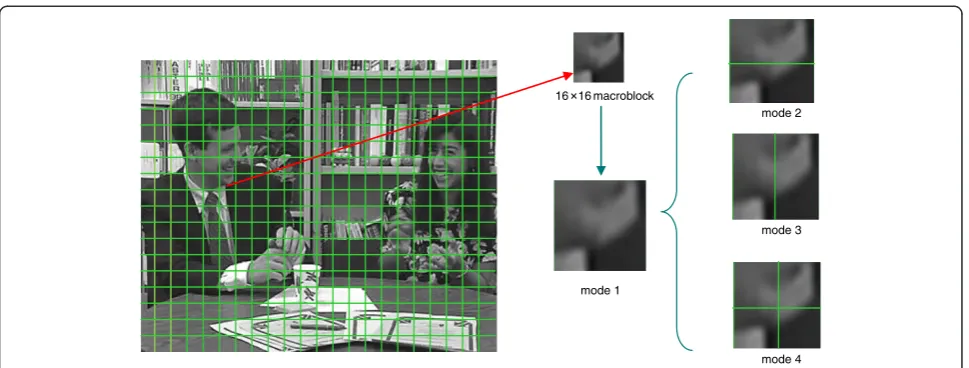 Figure 2 Result of microblock partition.