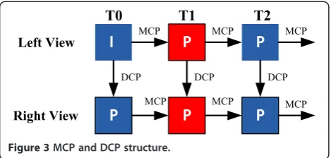 Figure 3 MCP and DCP structure.