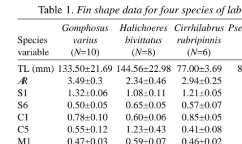 Table 1. Fin shape data for four species of labrid ﬁsh