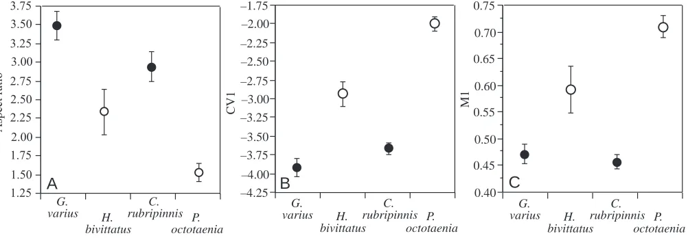 Fig. 2. Distribution of composite functional shape variables. (A) Aspect ratio of the pectoral ﬁn