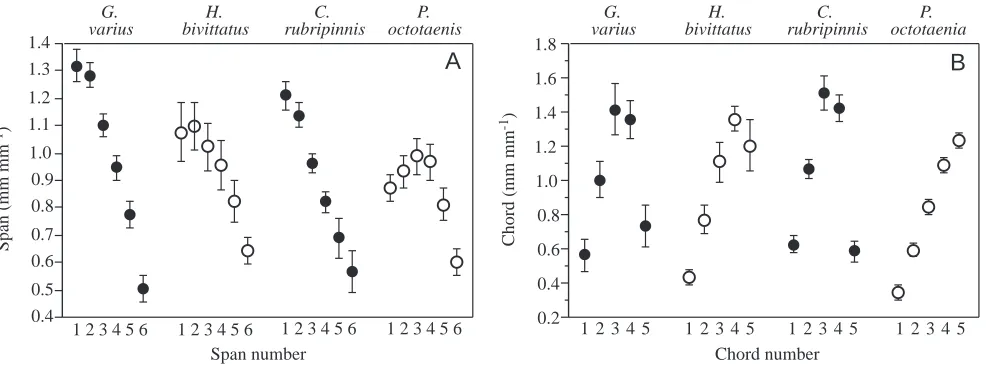 Table 1. Fin shape data for four species of labrid ﬁsh