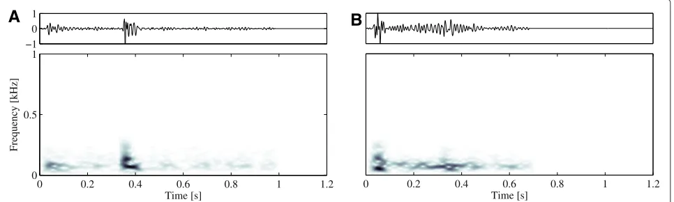 Figure 3 Examples. Examples of PCG recordings labeled as normal (A) and heart murmur (B), respectively.